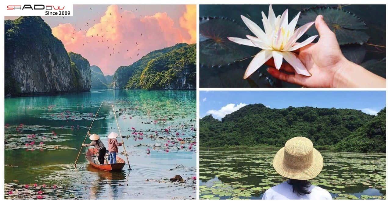 địa điểm du lịch trải nghiệm hà nội - Hồ Quan Sơn